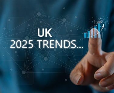 SEO Consultant Services USA