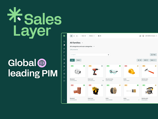 Client - Saleslayer - Big Tech Platforms