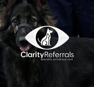 Client - The Informed Patient - Big Tech Platforms