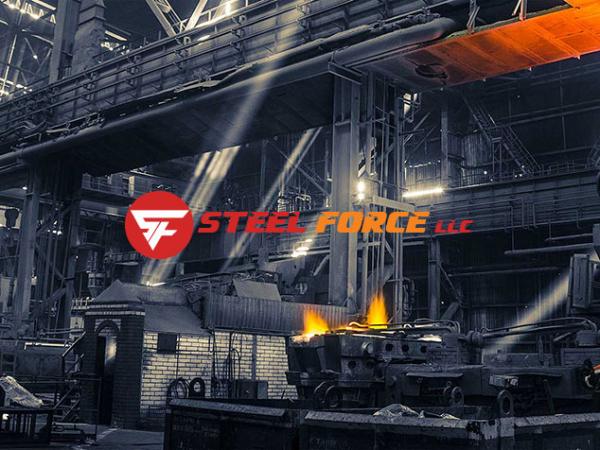 Client - Steel Force - Big Tech Platforms