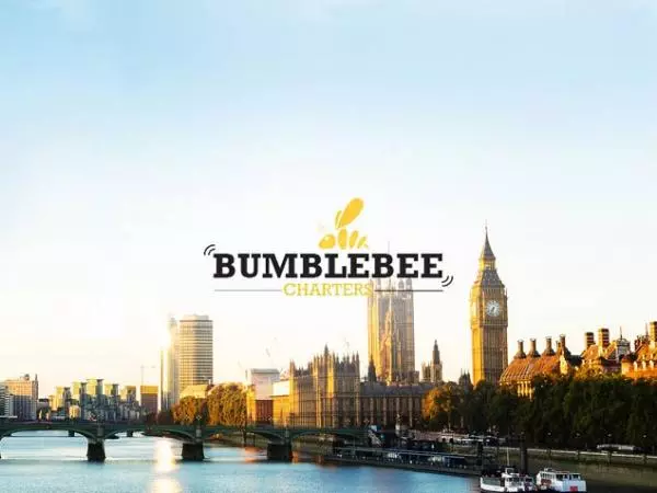 Client - bumblebeecharters - Big Tech Platforms