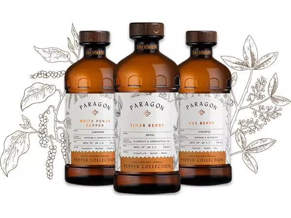 Paragon - Big Tech Platforms