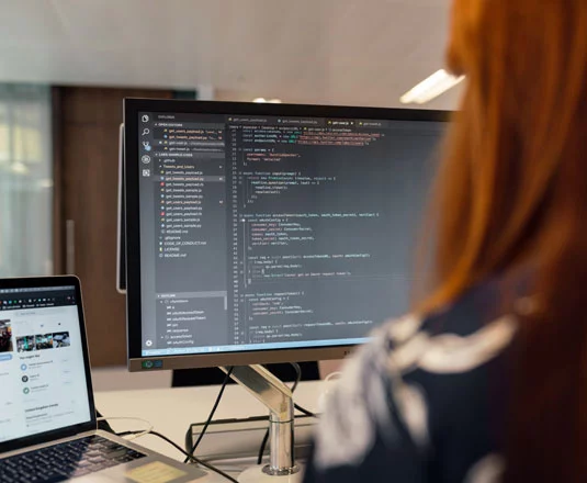 Big Tech Platforms - Cutting edge web and mobile app development