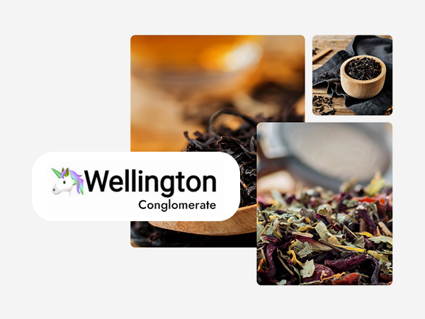 Client - Willington - Big Tech Platforms